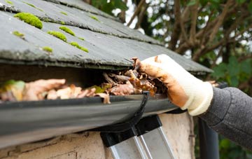 gutter cleaning Lagg